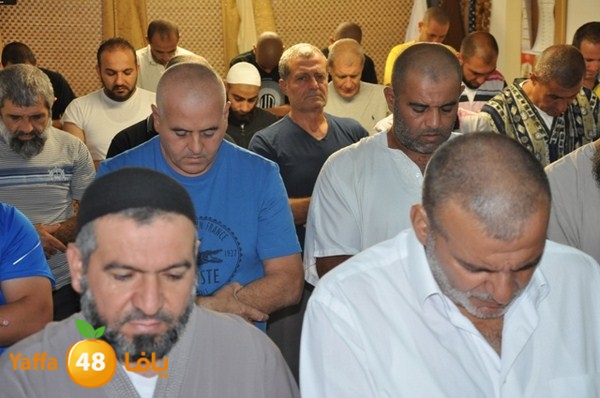 trawe7 fate7 mosque 715 (10).JPG